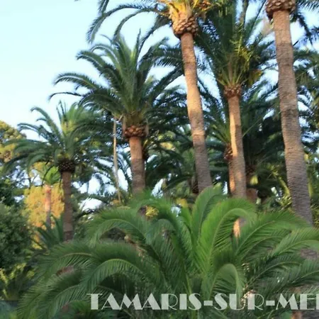 Le Zenith * Saint-Mandrier-sur-Mer