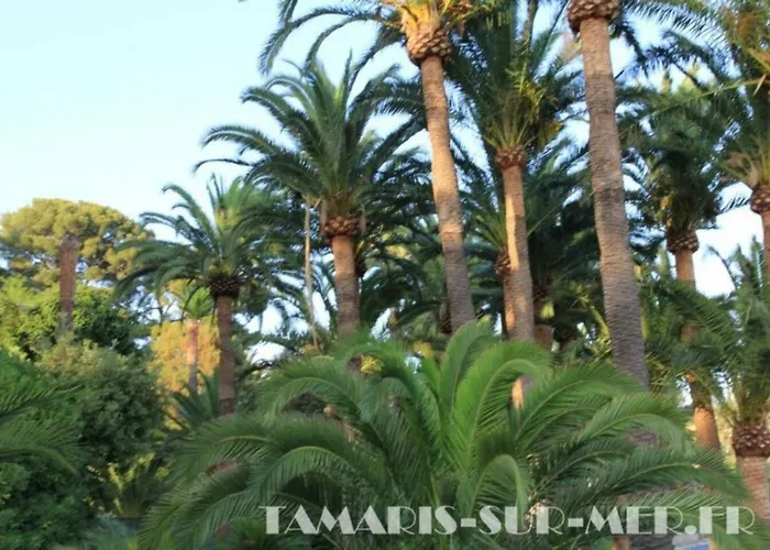 Le Zenith * Saint-Mandrier-sur-Mer